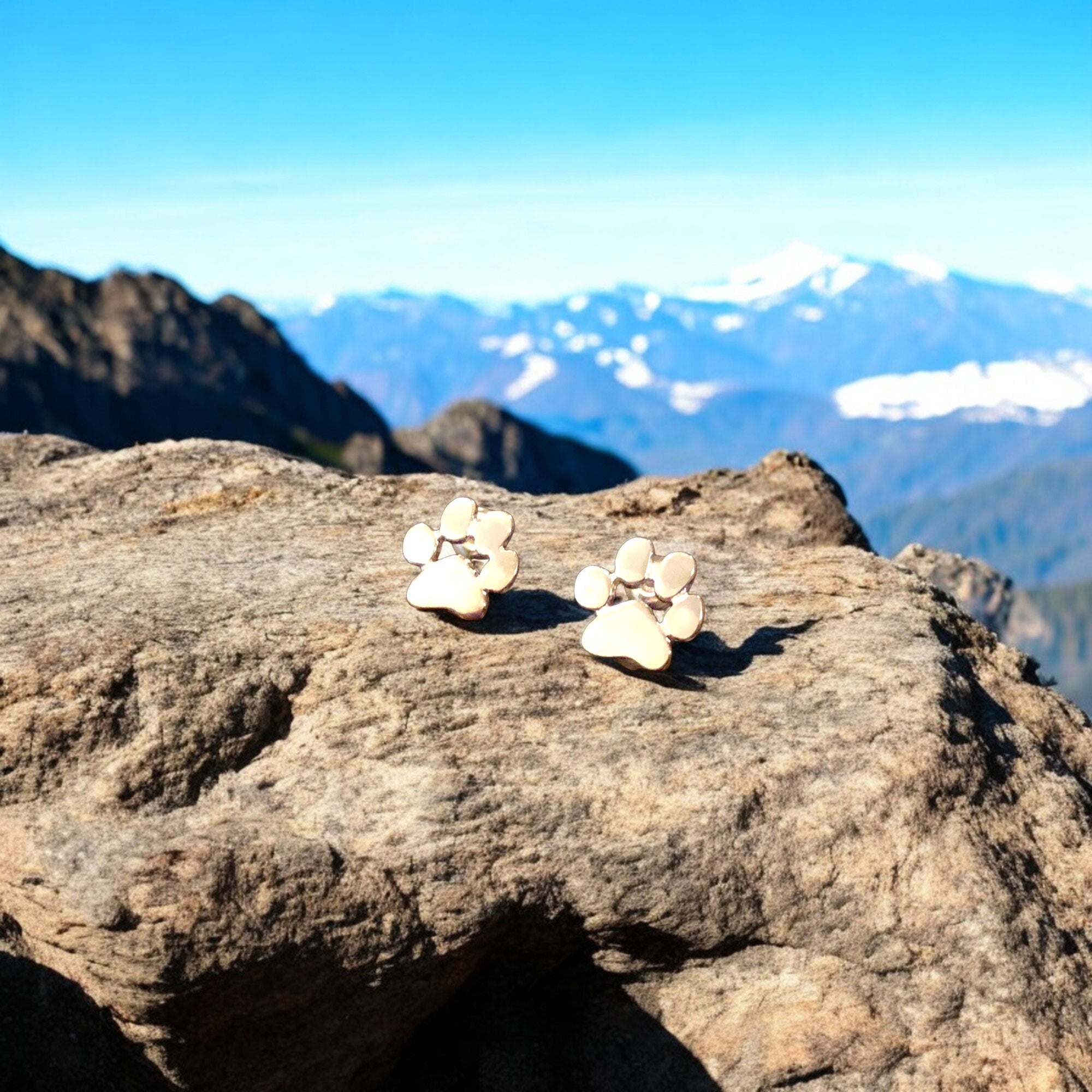 Hypoallergene Pfoten-Ohrringe